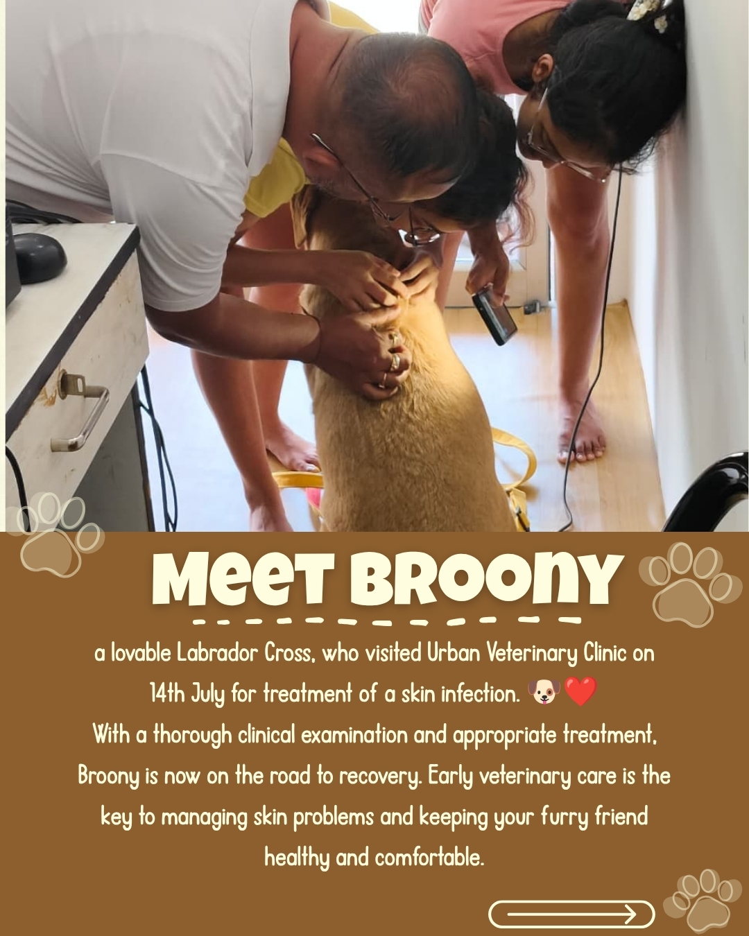 Broony