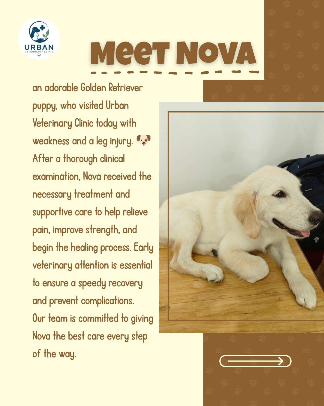 Nova